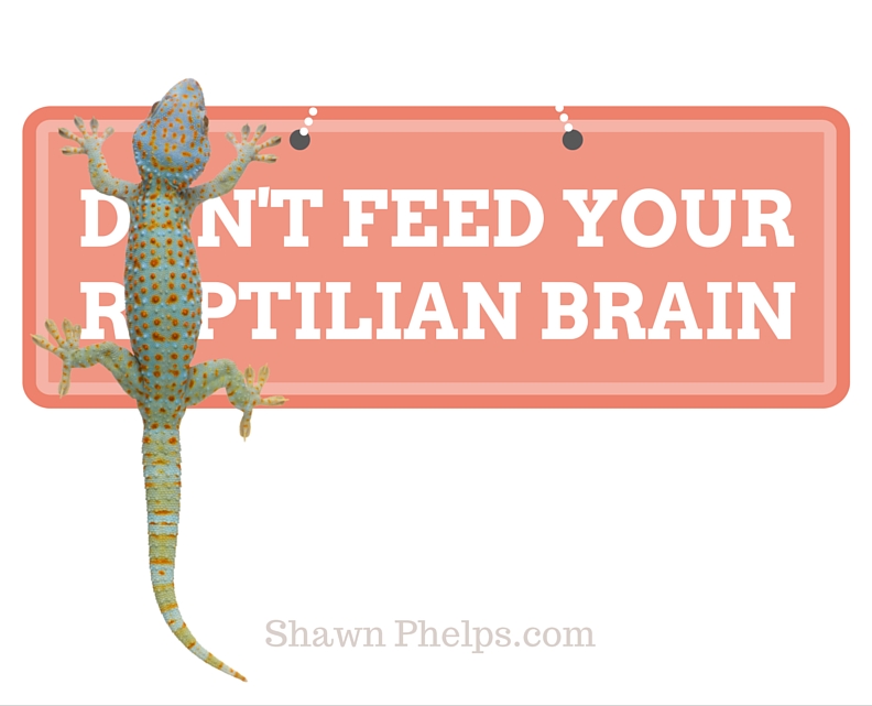 Got Hatred? Don’t Feed Your Reptilian Brain